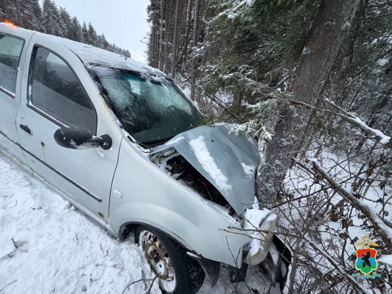    Пострадавшим в ДТП в Медвежьегорском районе оказался 28-летний местный жительМВД Карелии