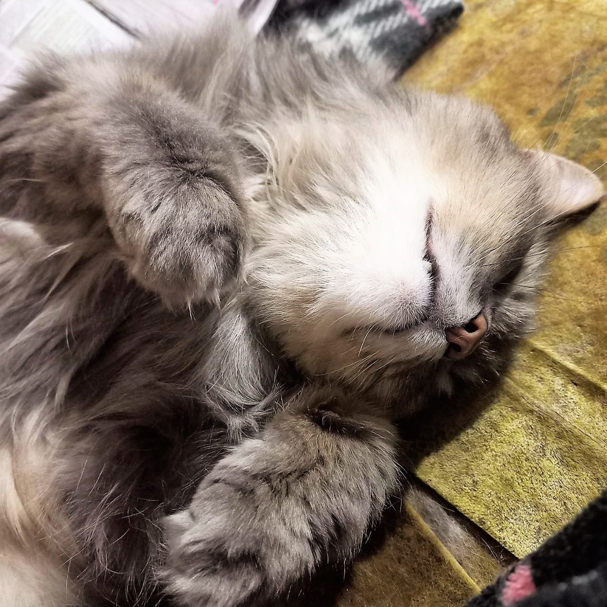 Вений сигнал слышит)