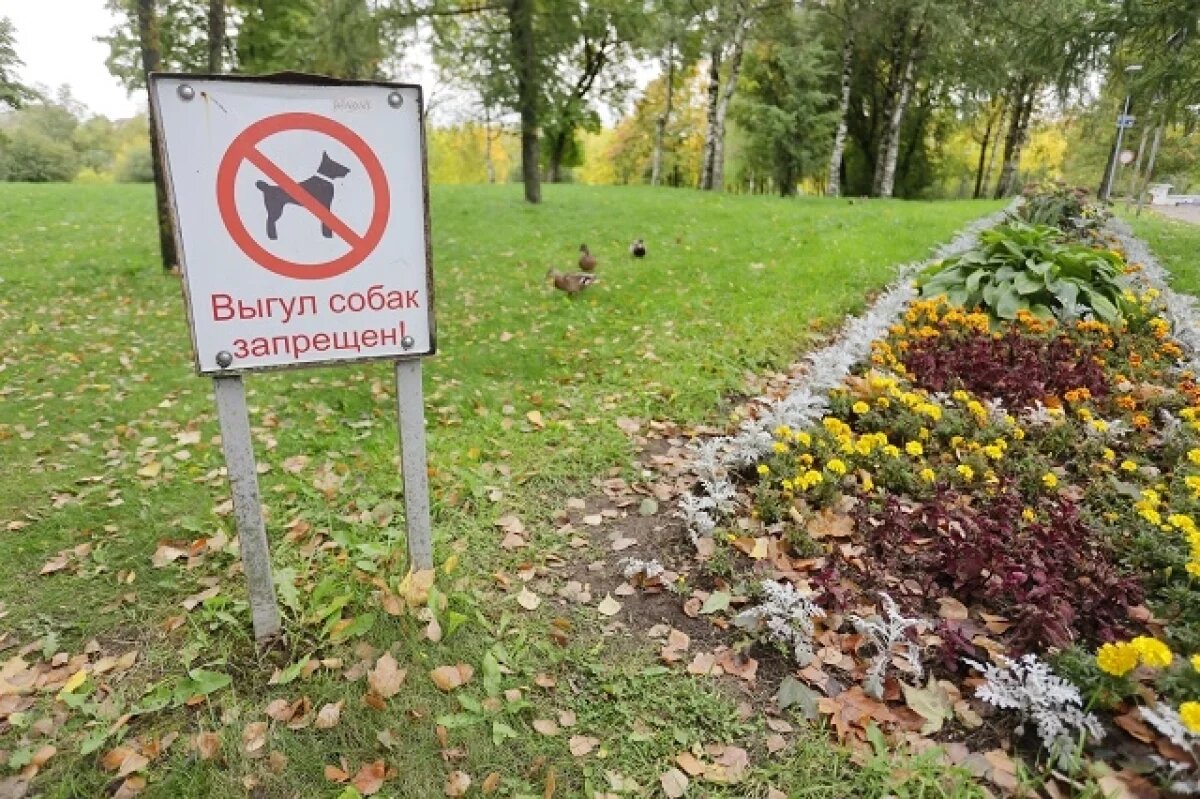    Дочь пенсионерки, пострадавшей от добермана, подаст иск на 1 млн рублей