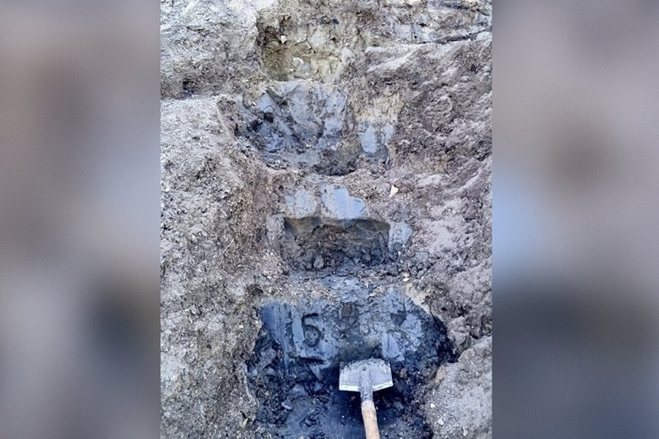    Новое место отложений древних пород нашли в в поселке Поповка близ Сызрани / Фото: Самарский политех