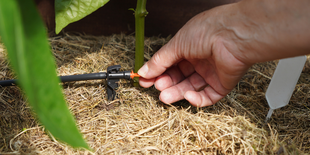 Азбука начинающего огородника (ч.5): когда и какие удобрения вносить в почву