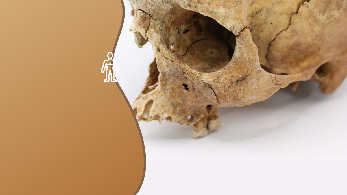 Историки изучила останки мужчин и женщин XII–XIV веков. Коллаж: медиацентр УрФУ.