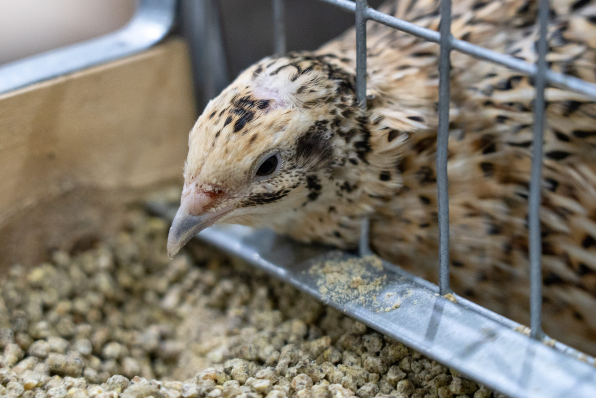 Фото: Александр Плонский / «ВиЖ»