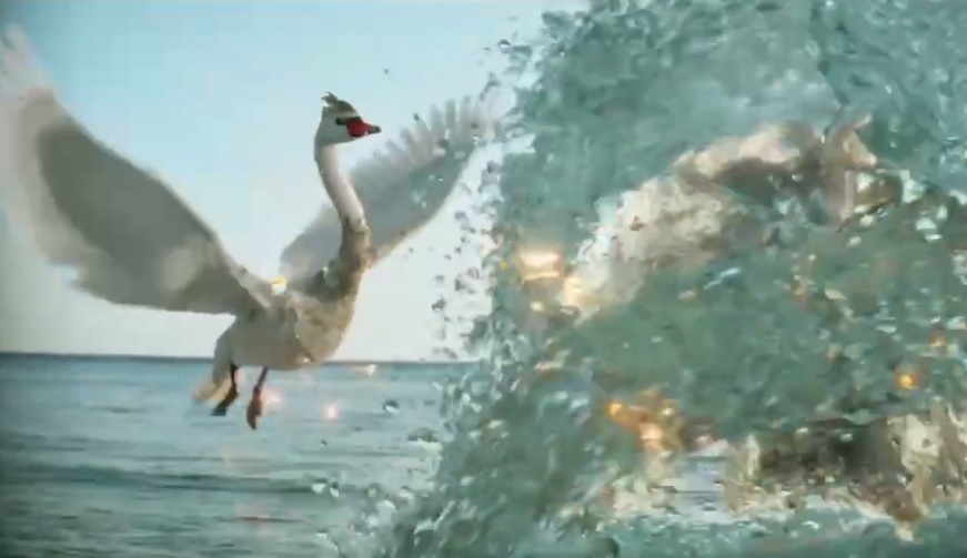    На фото стоп-кадр видеоматериала Татьяна Пшеничная