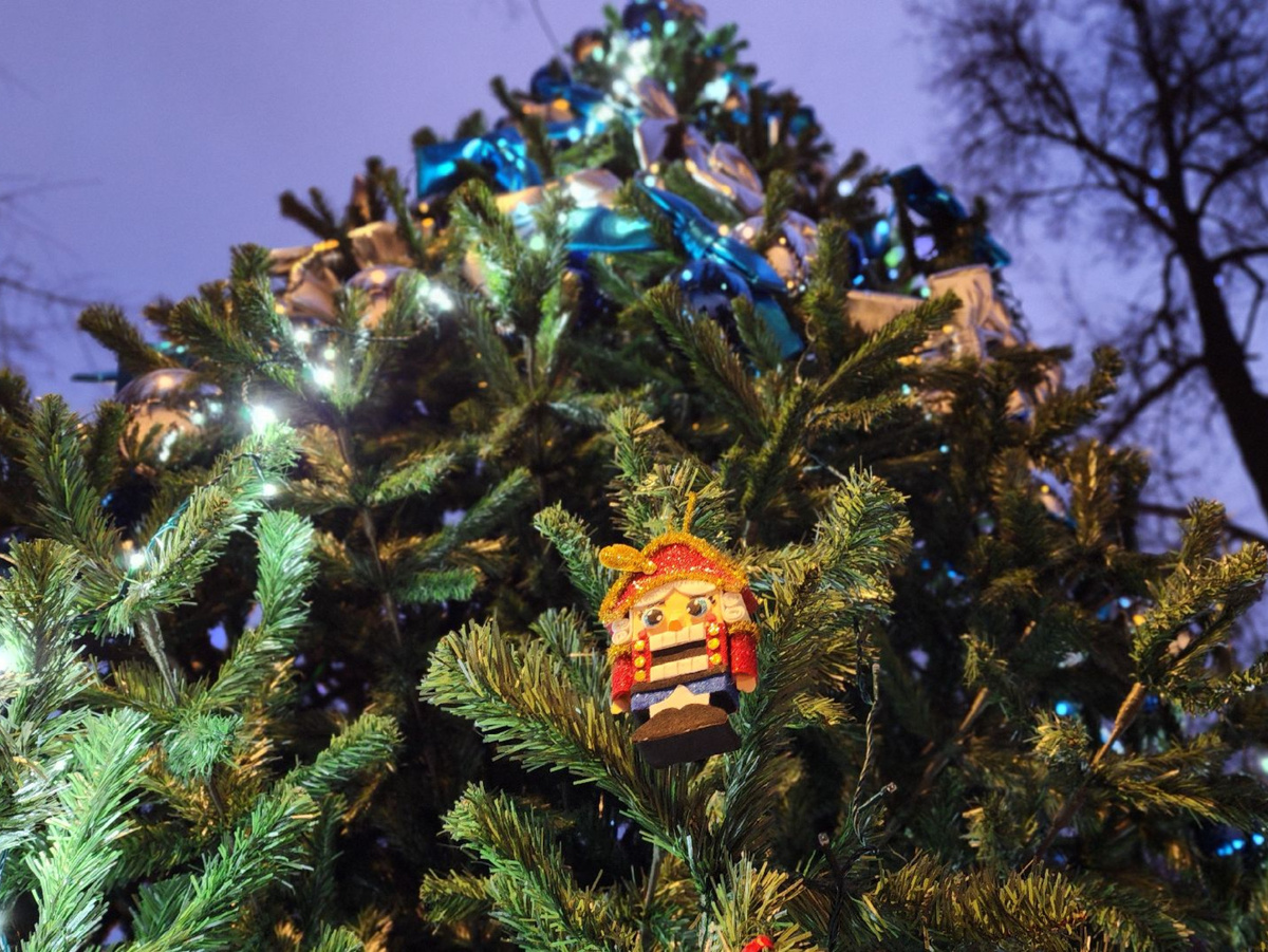    Фото: МедиаБанк Подмосковья/Валерия Тингаева