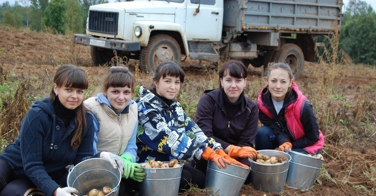 Фото из открытого источника