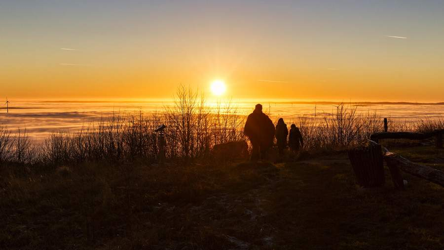 Фото: Global Look Press/Angela to Roxel/imagebroker.com