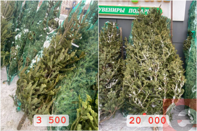    Фото: Прецедент