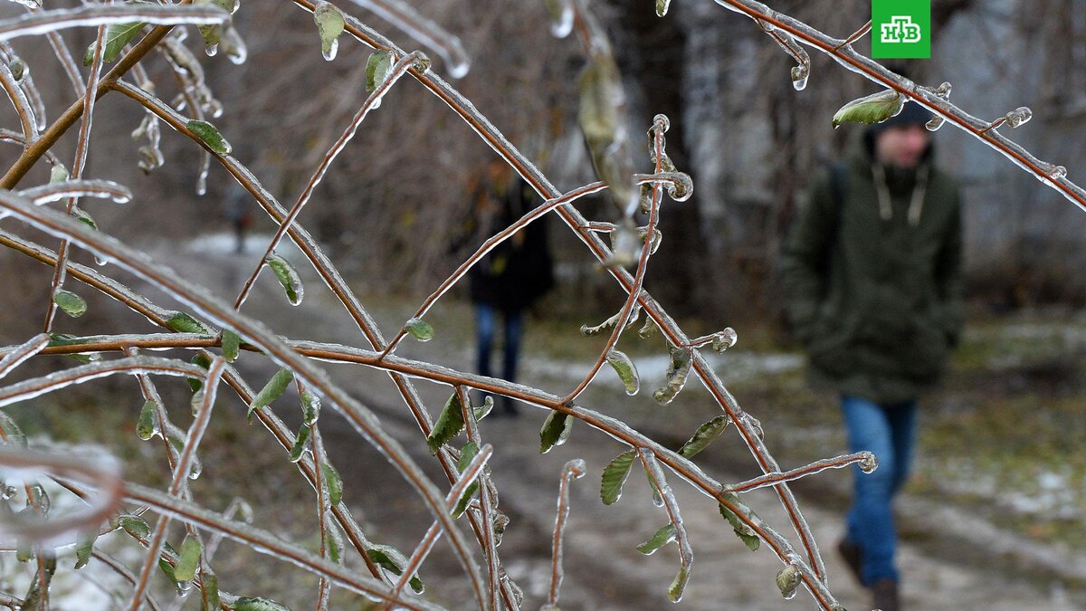    Фото: РИА Новости © 2025, Максим Богодвид
