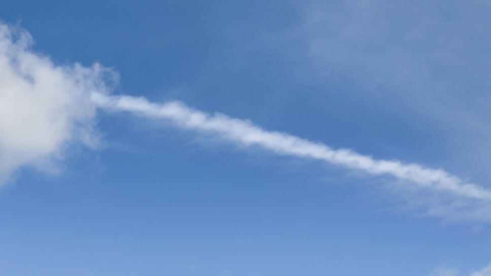 Фото: Олег Харсеев / Коммерсантъ