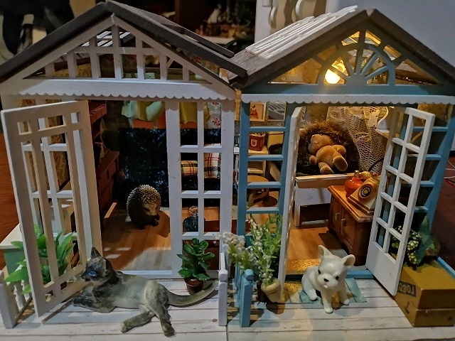 фото автора. листайте галерею 