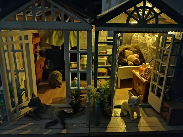 фото автора в темноте. 