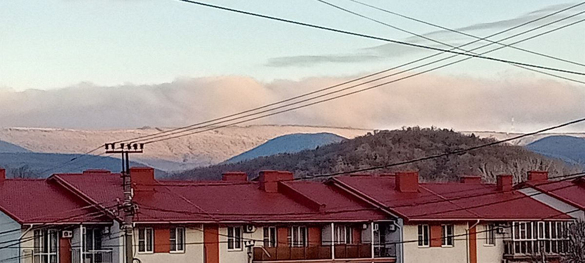 Сукко сегодня