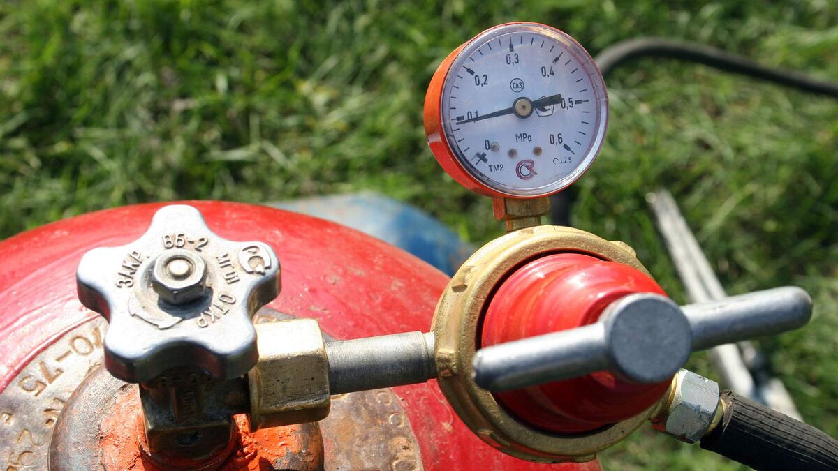 Фото: Legion-Media/PhotoXPress.ru/Александров Василий