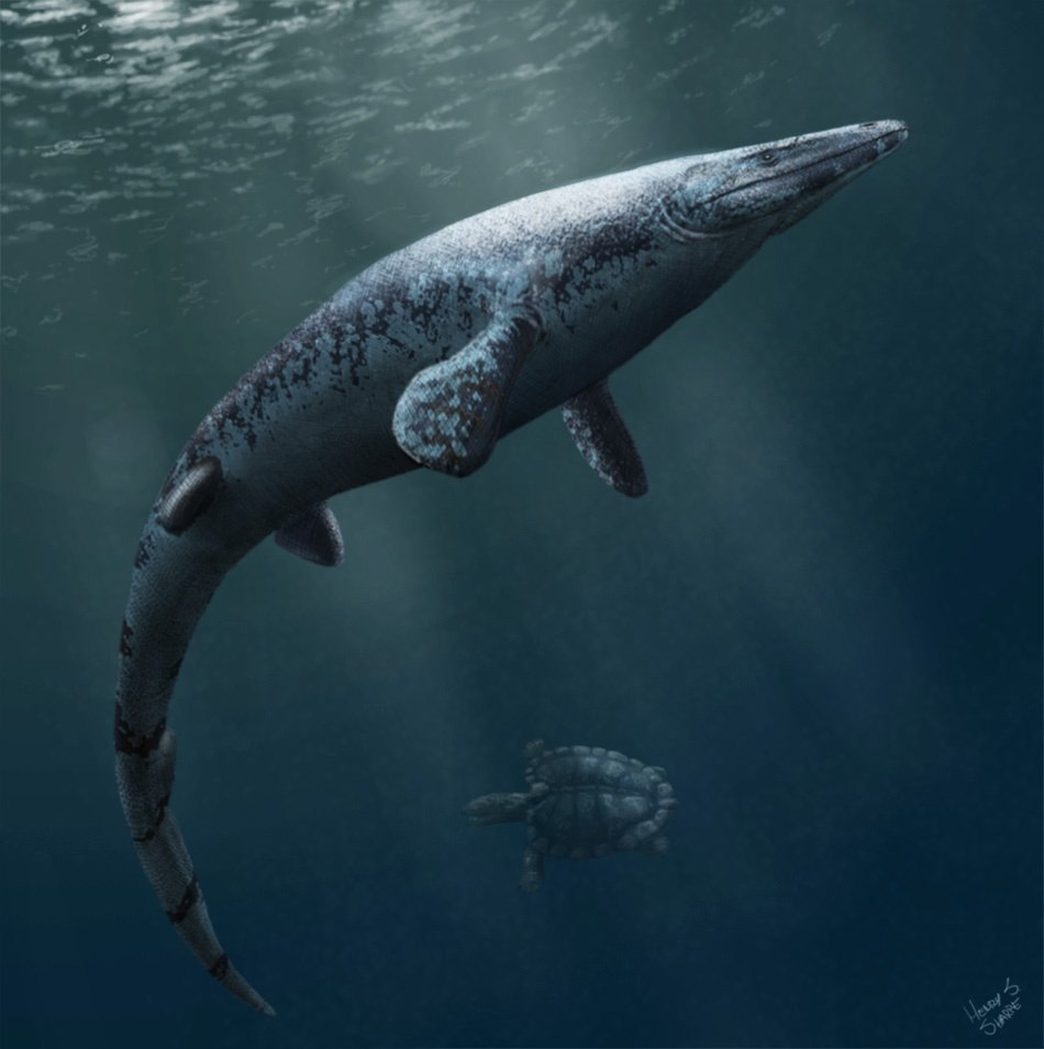    Мозазавр Angolasaurus bocagei и черепаха Angolachelys mbaxi.