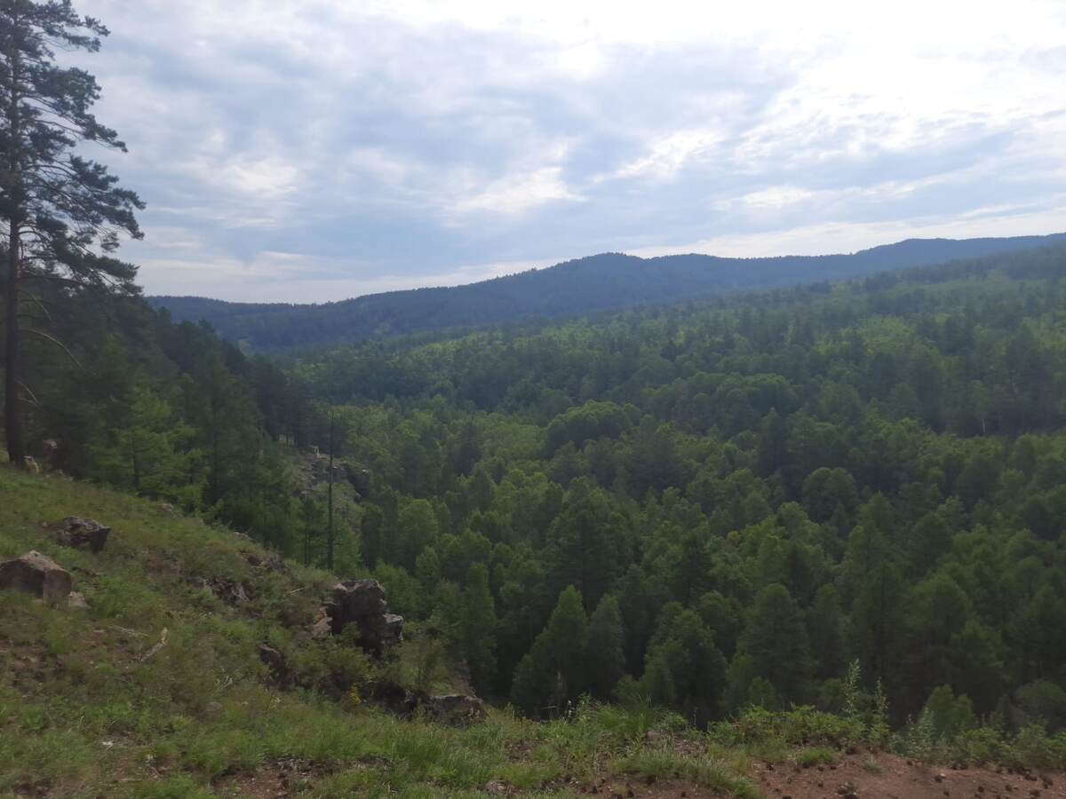 Общий вид. Фото из личного архива.