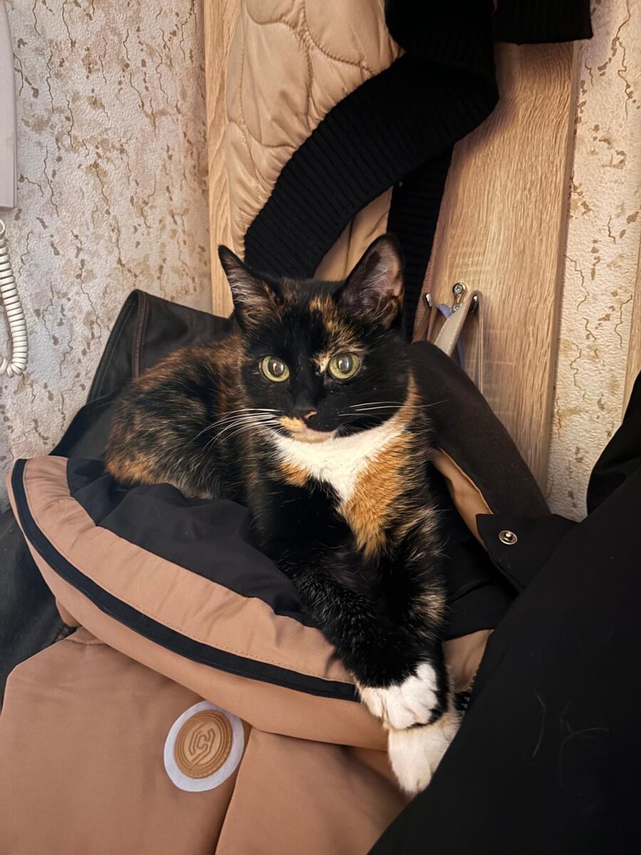 Алисонька, 16 лет