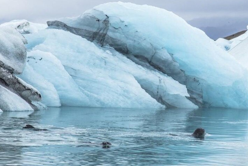    фото: фрипик