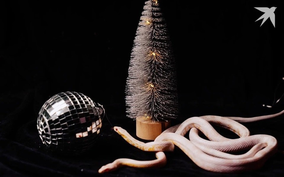    Сказки реальны Мария Бакланова