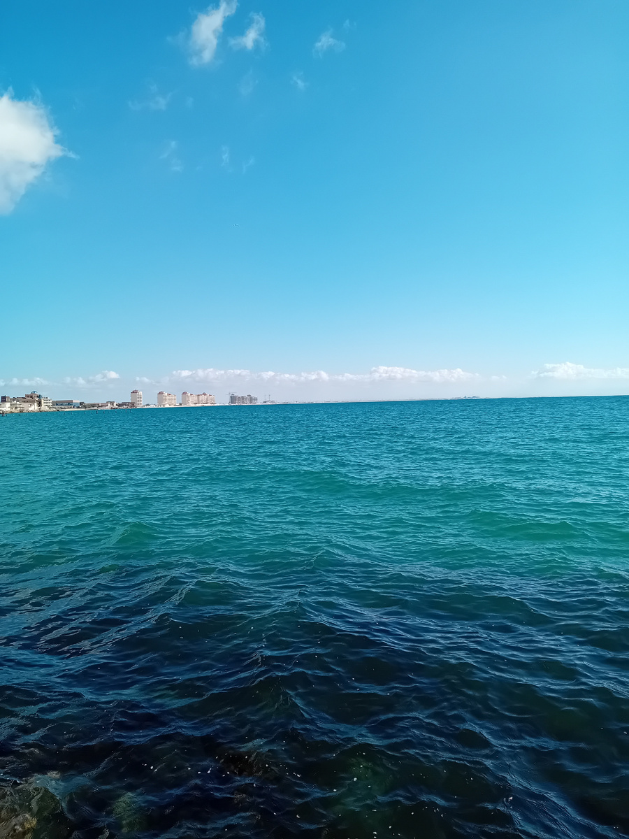 АВТОРСКОЕ  ФОТО.