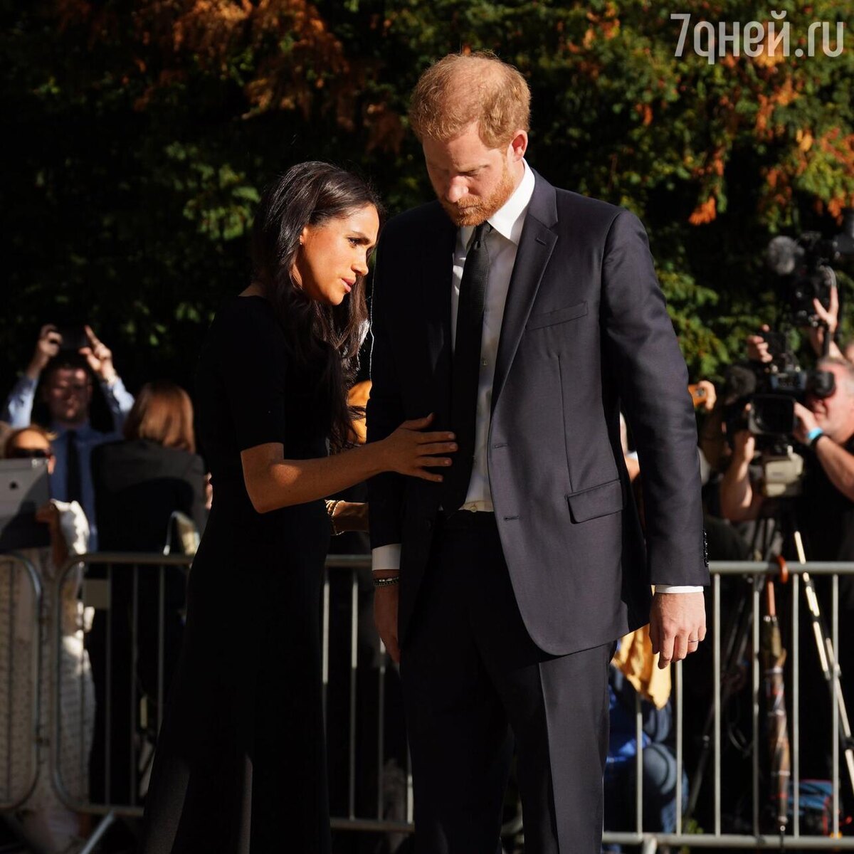 фото из яндекса