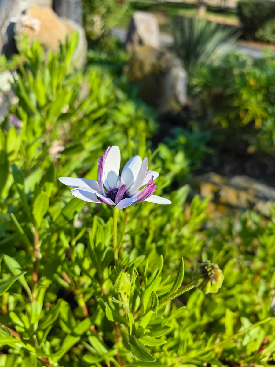 Фото автора канала 