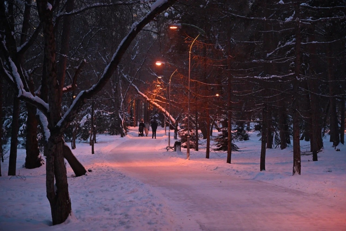    Фото: Анастасия Сибирякова