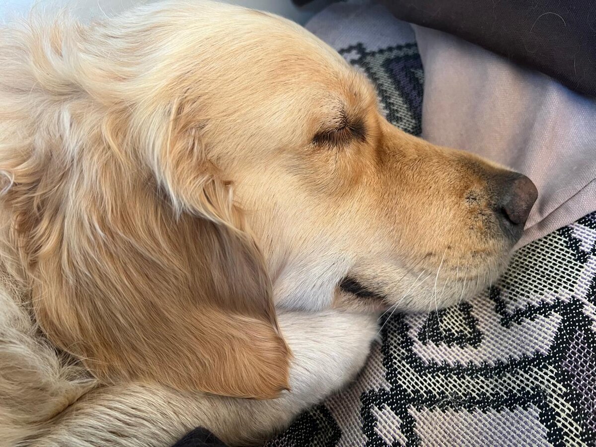 Оля такая милаха