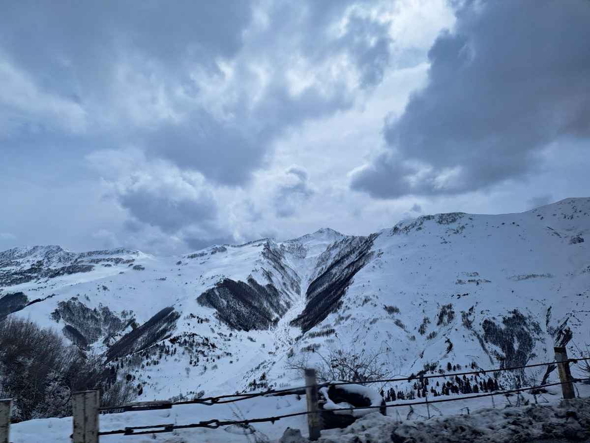 Сибиряки уверены, что необходимо привлечение более серьезных сил к поискам.  Фото: Фото: ФедералПресс / Вера Романескул