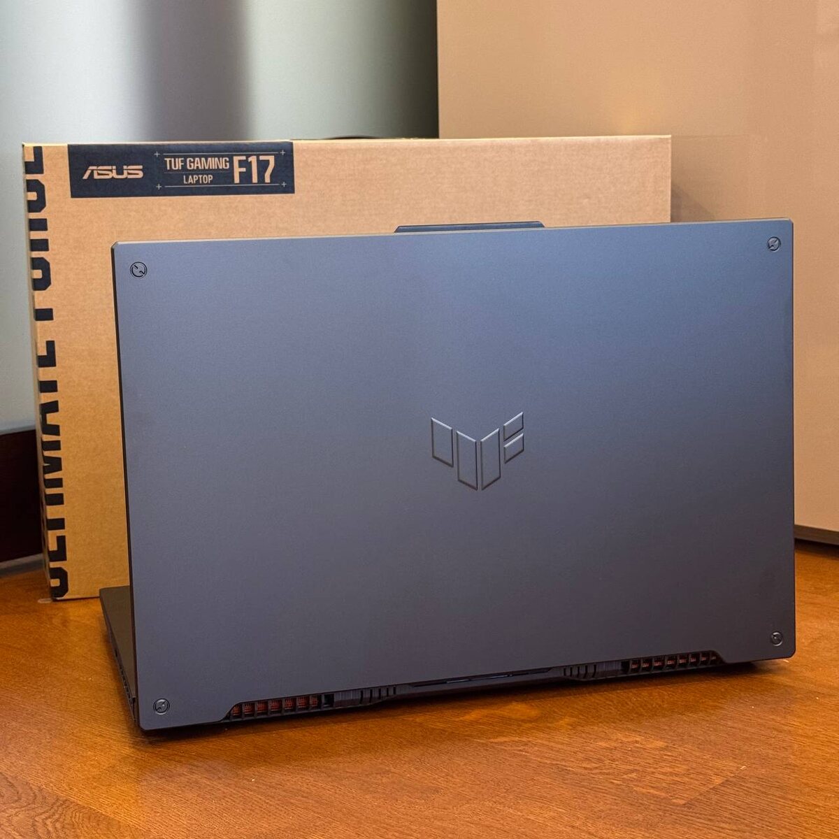 Asus TUF Gaming 17 FX707Z zamaeviliya