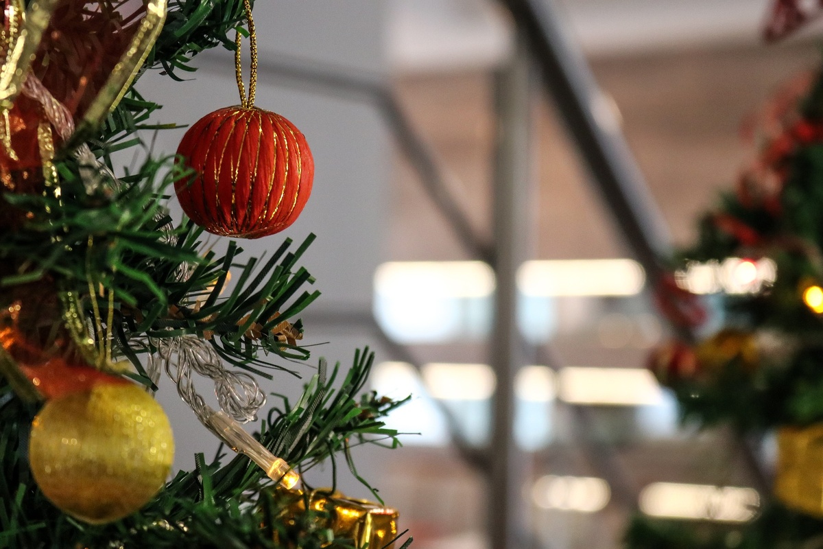    Фото с сайта pixabay.com