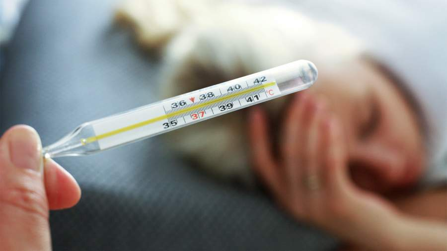 Фото: ИЗВЕСТИЯ/Юлия Майорова
