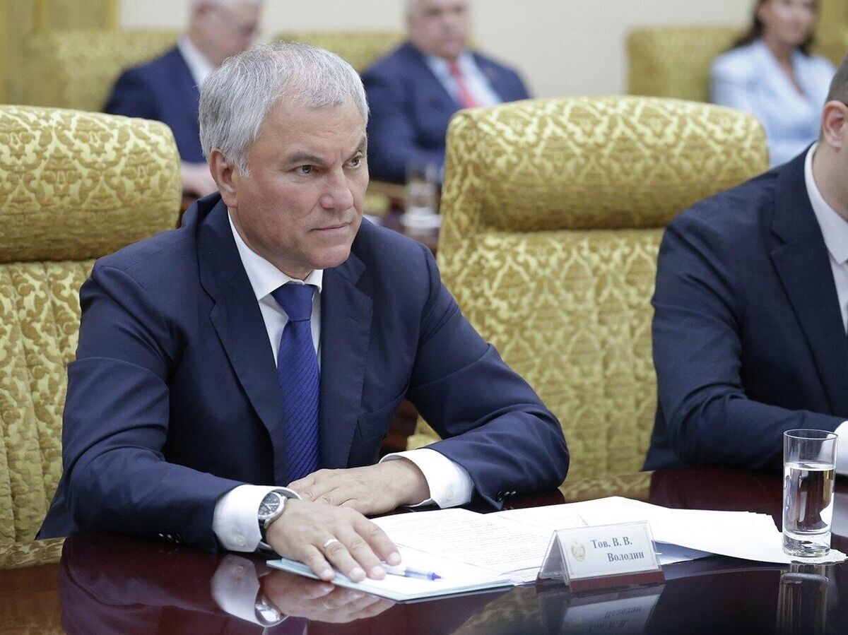    Председатель Государственной думы Вячеслав Володин во время встречи с председателем президиума Верховного народного собрания КНДР Цой Рён Хэ в Пхеньяне | © РИА Новости / Пресс-служба Госдумы РФ
