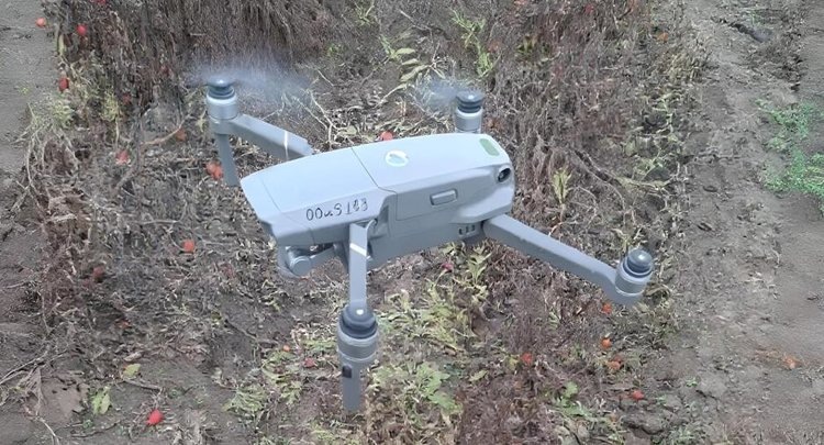    Фото: ФГБУ ЦОК АПК