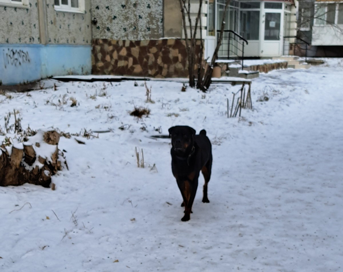 фото автора