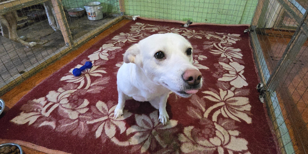 Она улыбается, но не может бежать