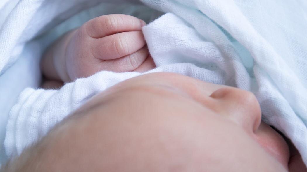    Фото: pixabay.com