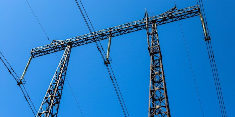    Илья Тушев / Вести Подмосковья