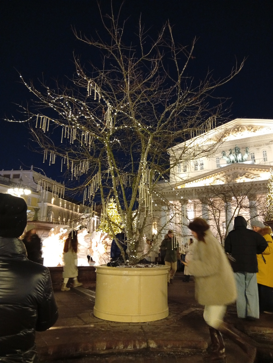Дерево в жемчугах, фото голодного, замёрзшего автора
