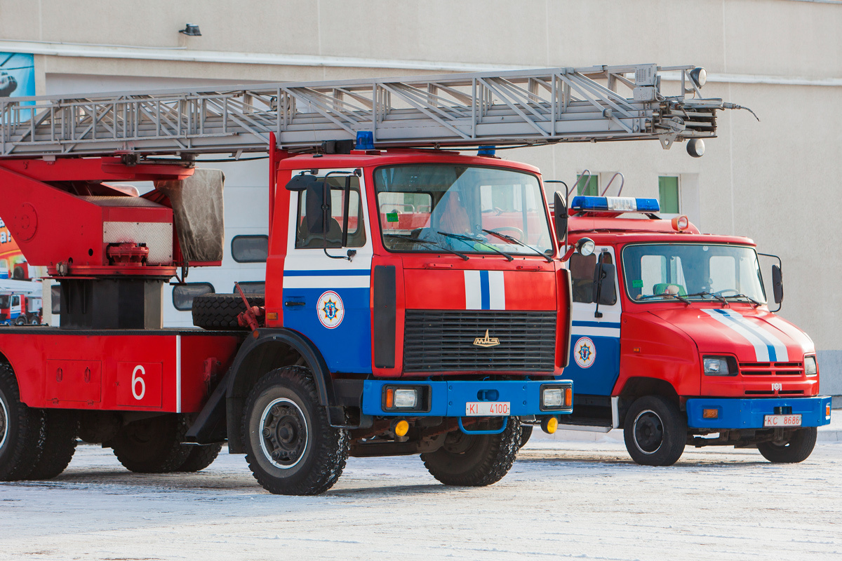    Фото: OMfotovideocontent / Shutterstock.com