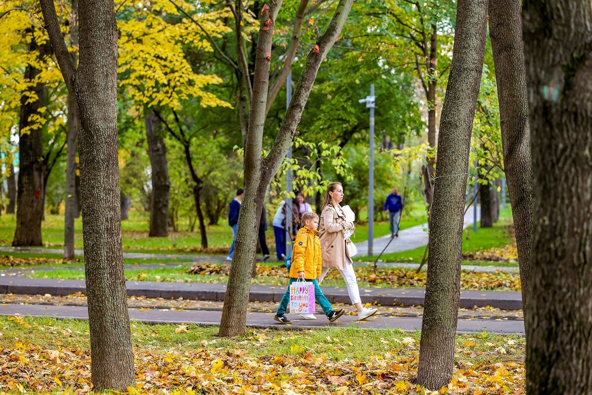    На юго-востоке Москвы обновили три городских сквера
