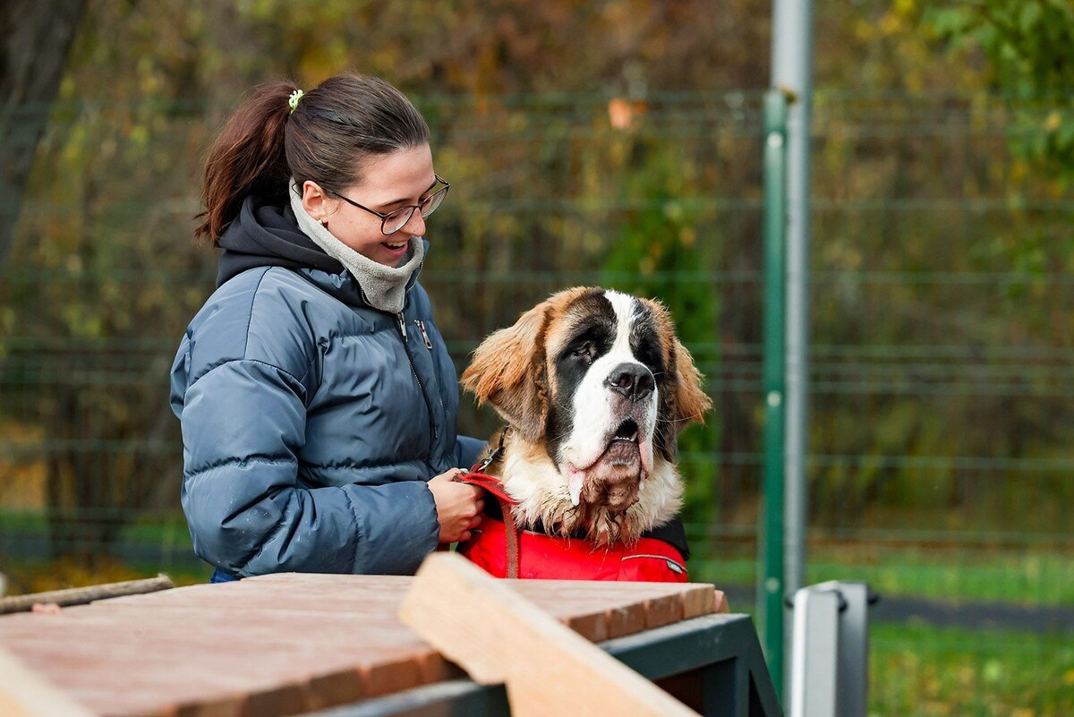    На юго-востоке Москвы обновили три городских сквера