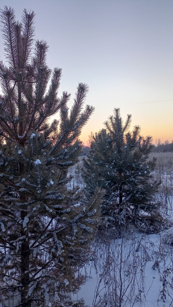 Фото автора канала "Волнушка"