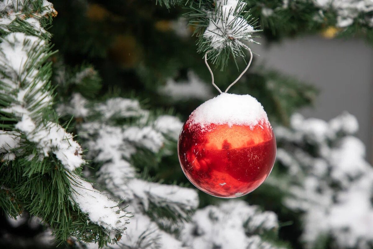 Фото: Тульская служба новостей