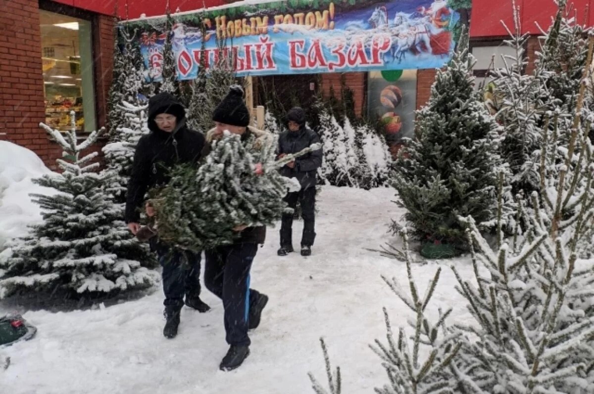    Ёлочные базары заработают в Екатеринбурге