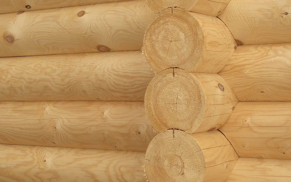 Стены из оцилиндрованного бревна