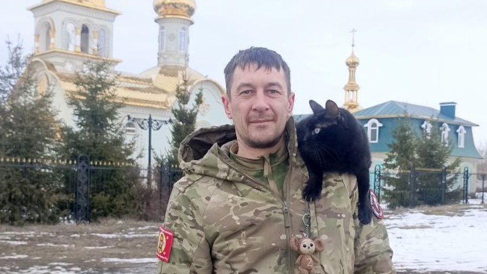 «Я обязан ему жизнью»: Штурмовик объявил награду в миллион рублей за пропавшего кота