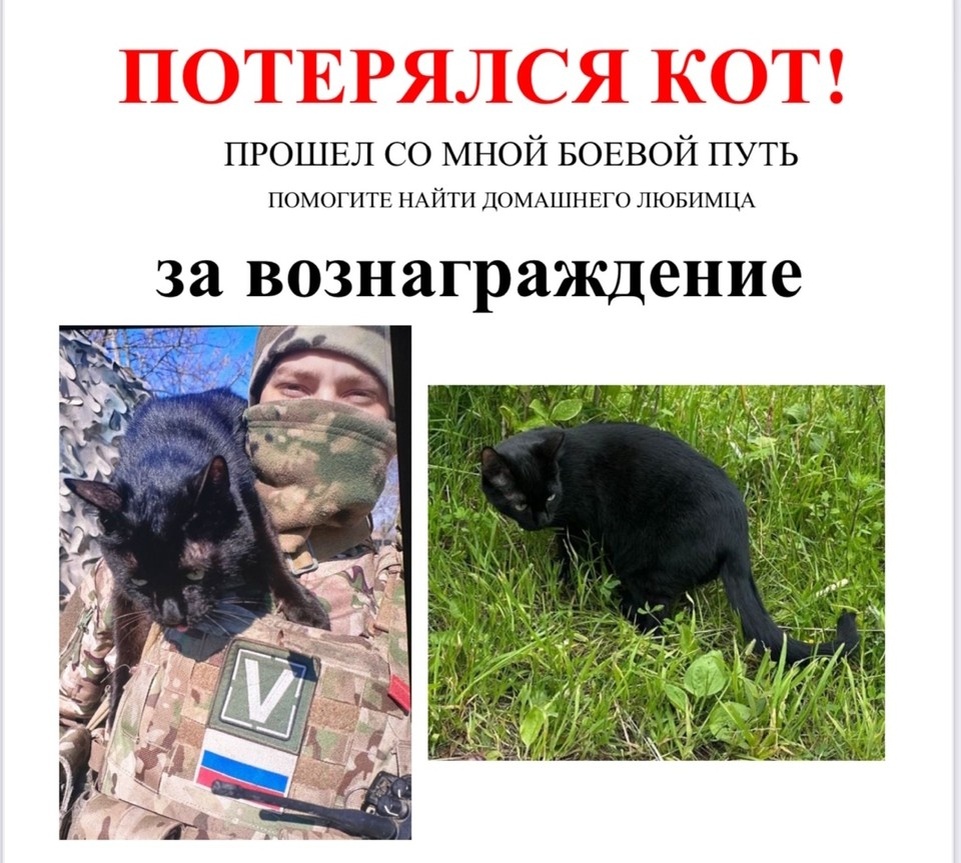    Такое трогательное объявление разлетелось в соцсетях. Фото: архив героя публикации