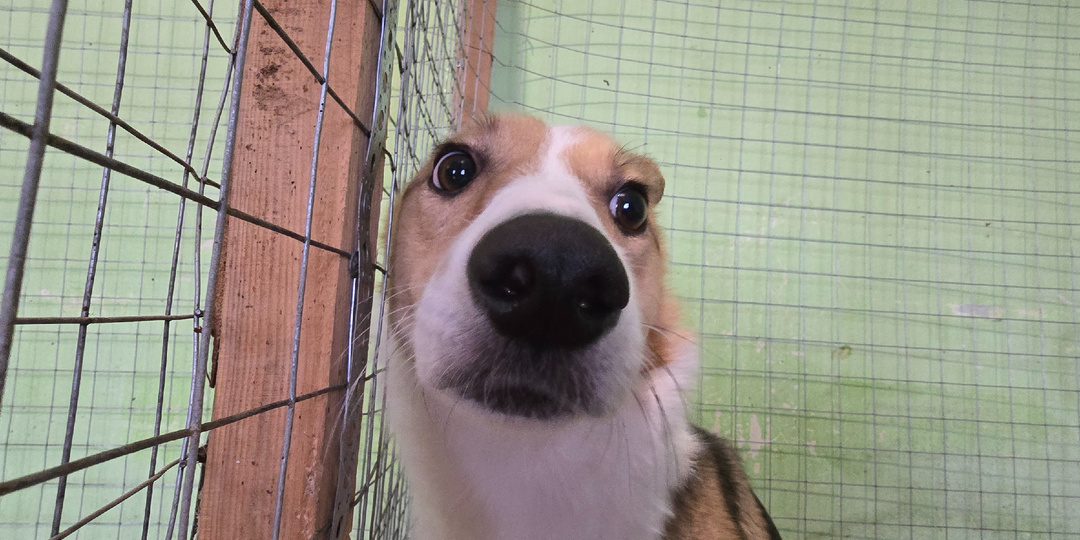 Он смотрит в окно, думая о прошлом