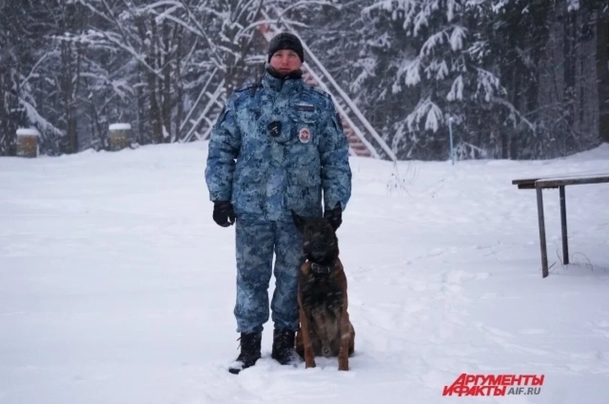    Как в «Джоне Уике».